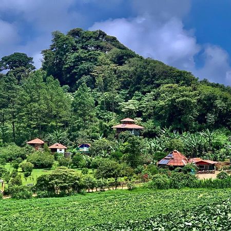 Finca Neblina Del Bosque Estelí エクステリア 写真
