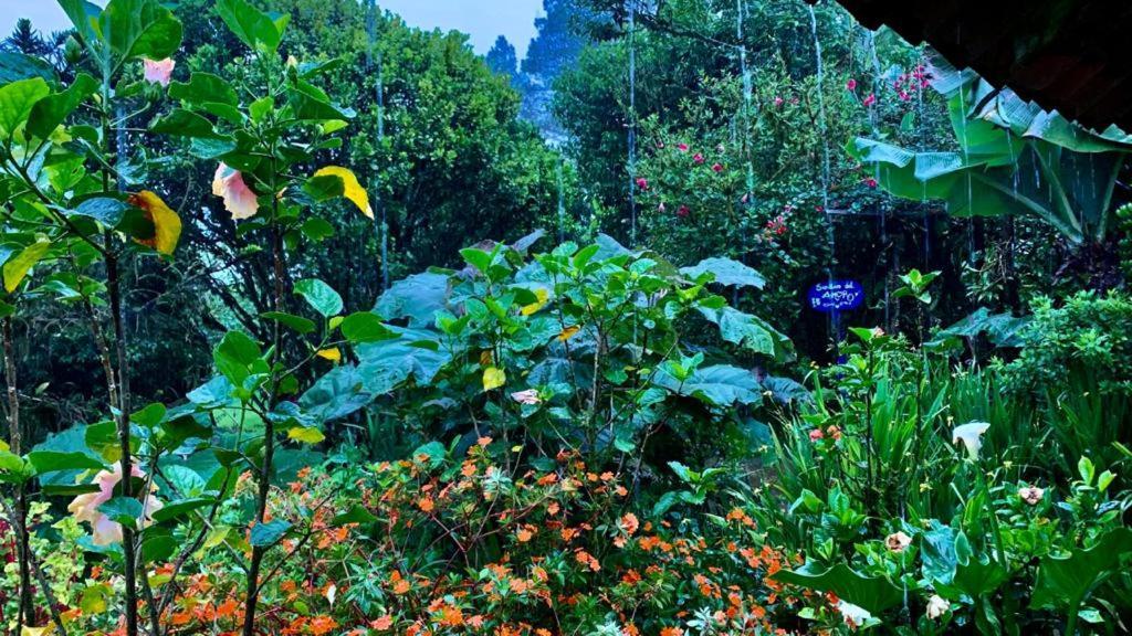 Finca Neblina Del Bosque Estelí エクステリア 写真