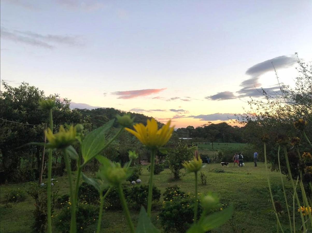 Finca Neblina Del Bosque Estelí エクステリア 写真