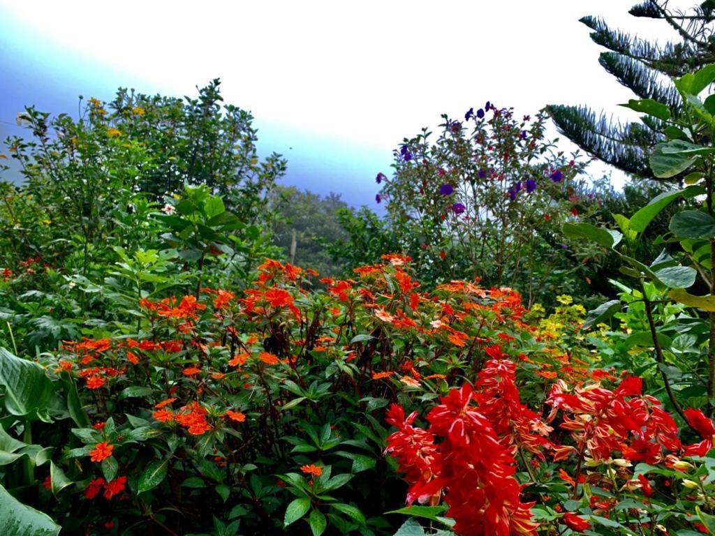 Finca Neblina Del Bosque Estelí エクステリア 写真