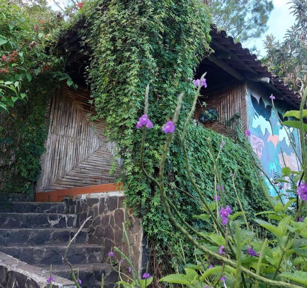 Finca Neblina Del Bosque Estelí エクステリア 写真