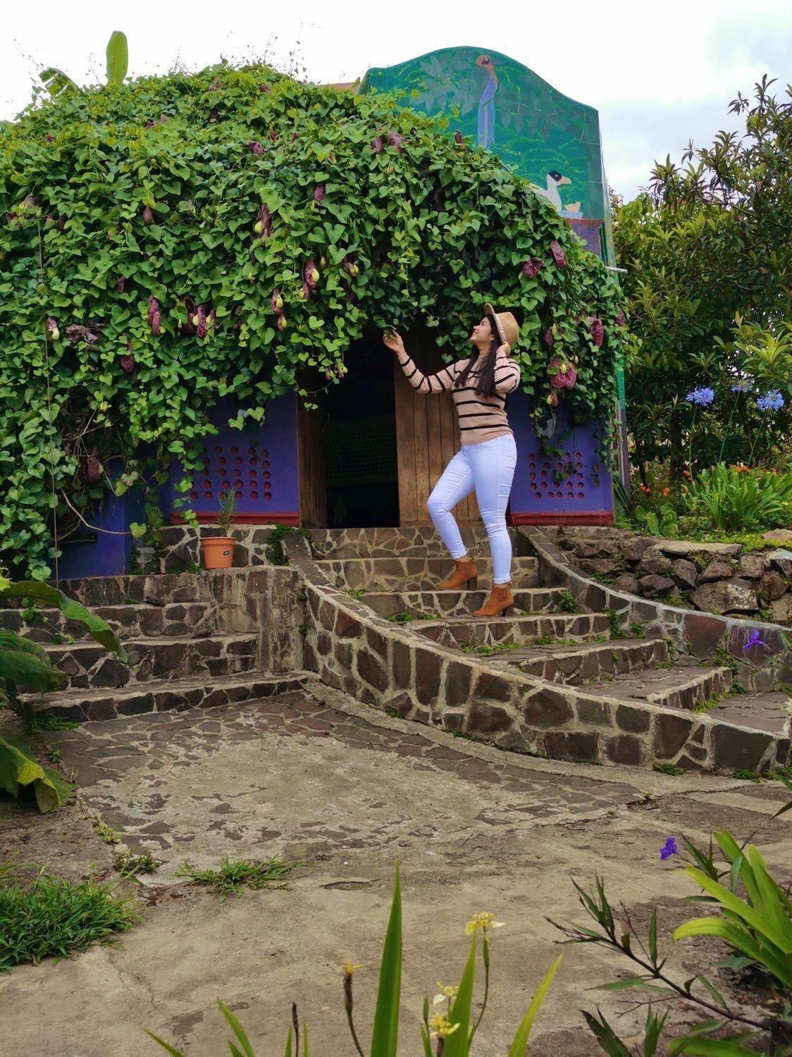 Finca Neblina Del Bosque Estelí エクステリア 写真